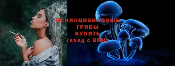 дурь Белоозёрский