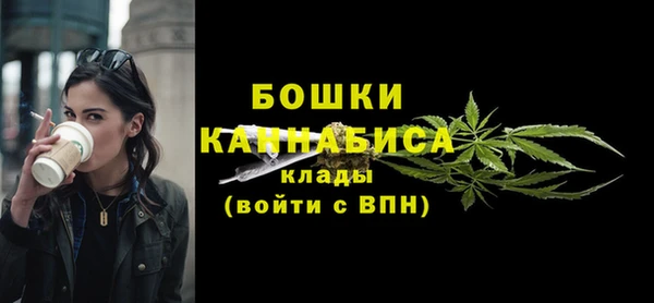 соль ск Белокуриха