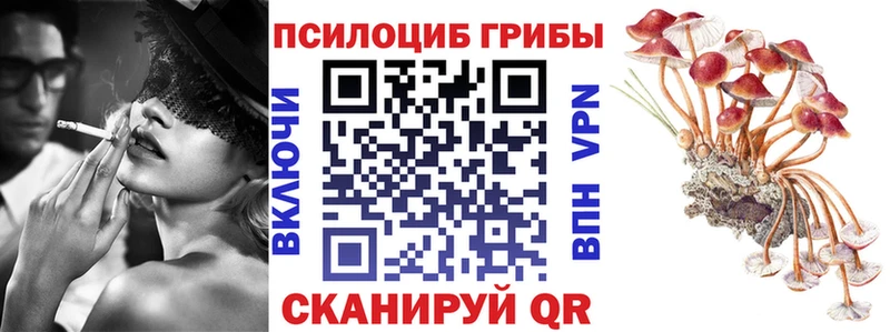 Псилоцибиновые грибы MAGIC MUSHROOMS  Малаховка 